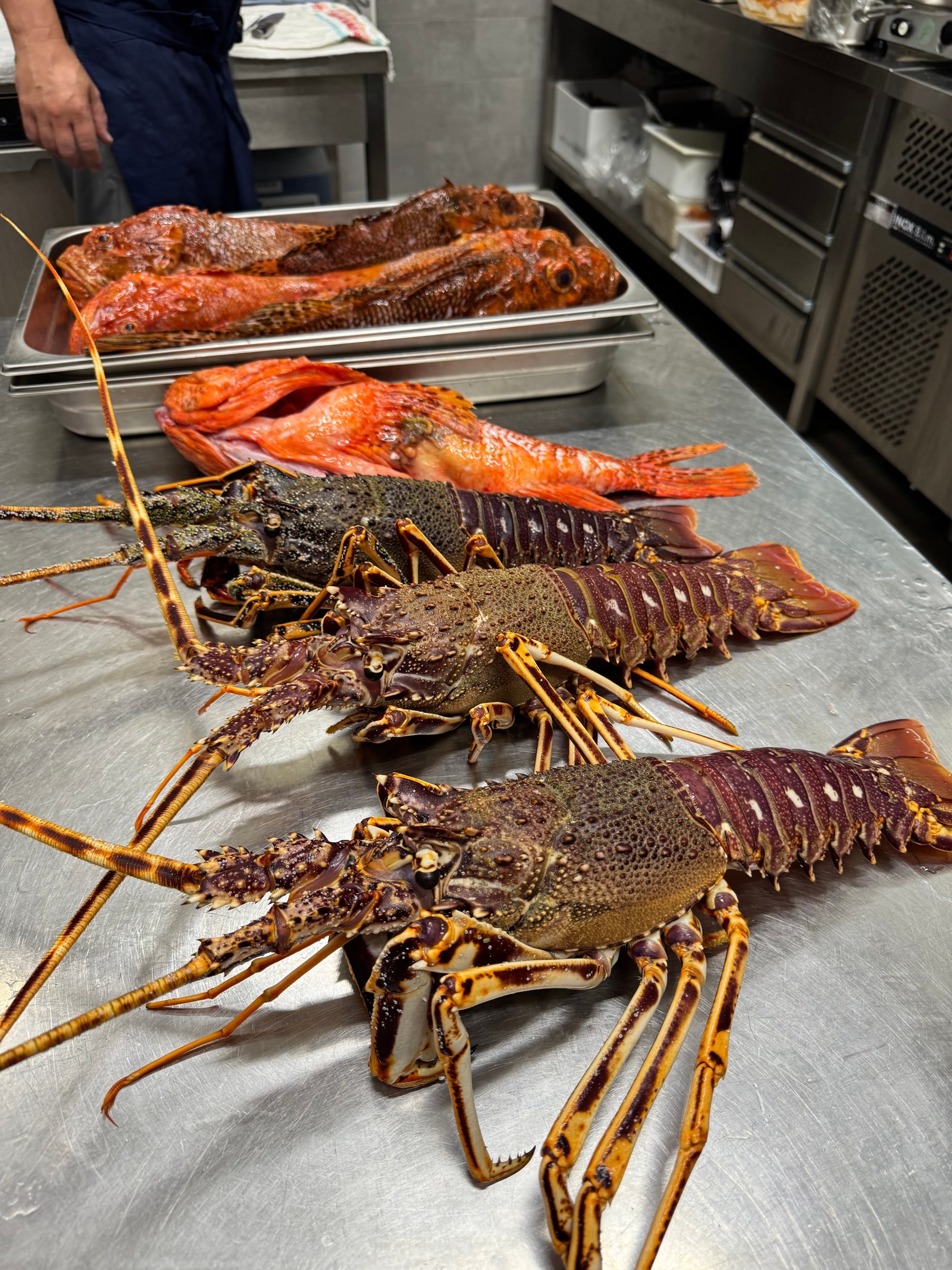Aragoste e pesce fresco selezionati nella cucina del Seaside