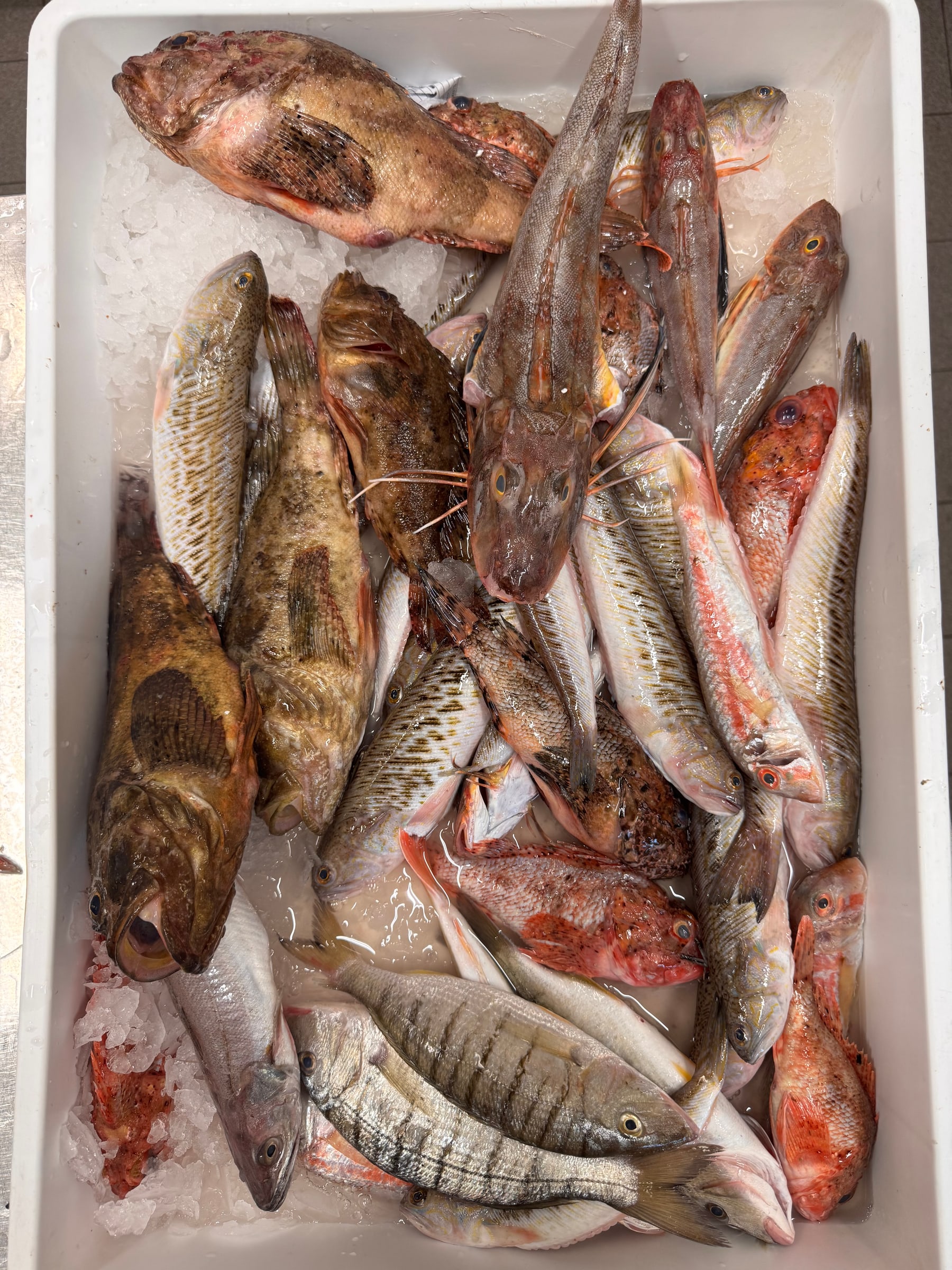 Cassetta mista con il pescato fresco del giorno