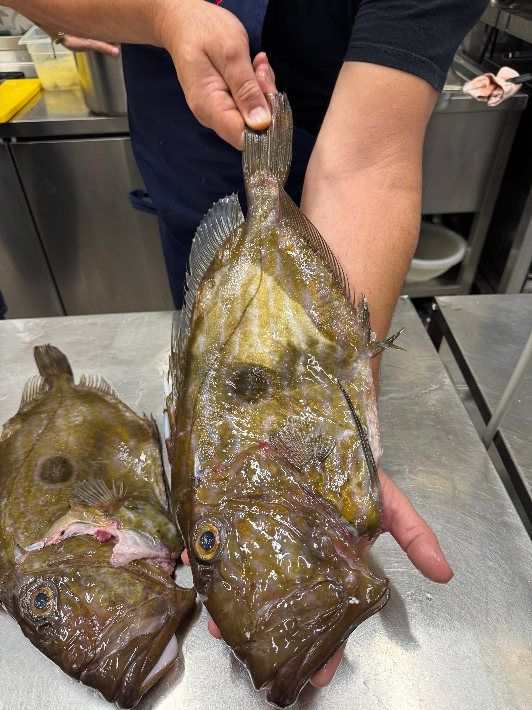 Selezione manuale del pesce fresco in cucina