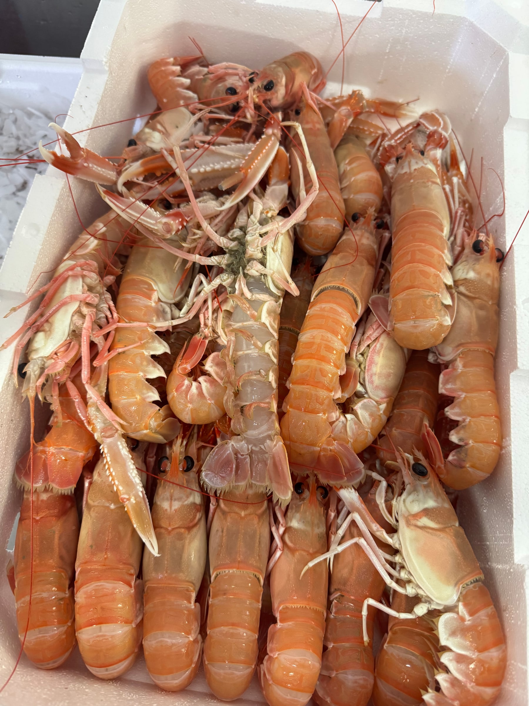 Cassetta di scampi freschi